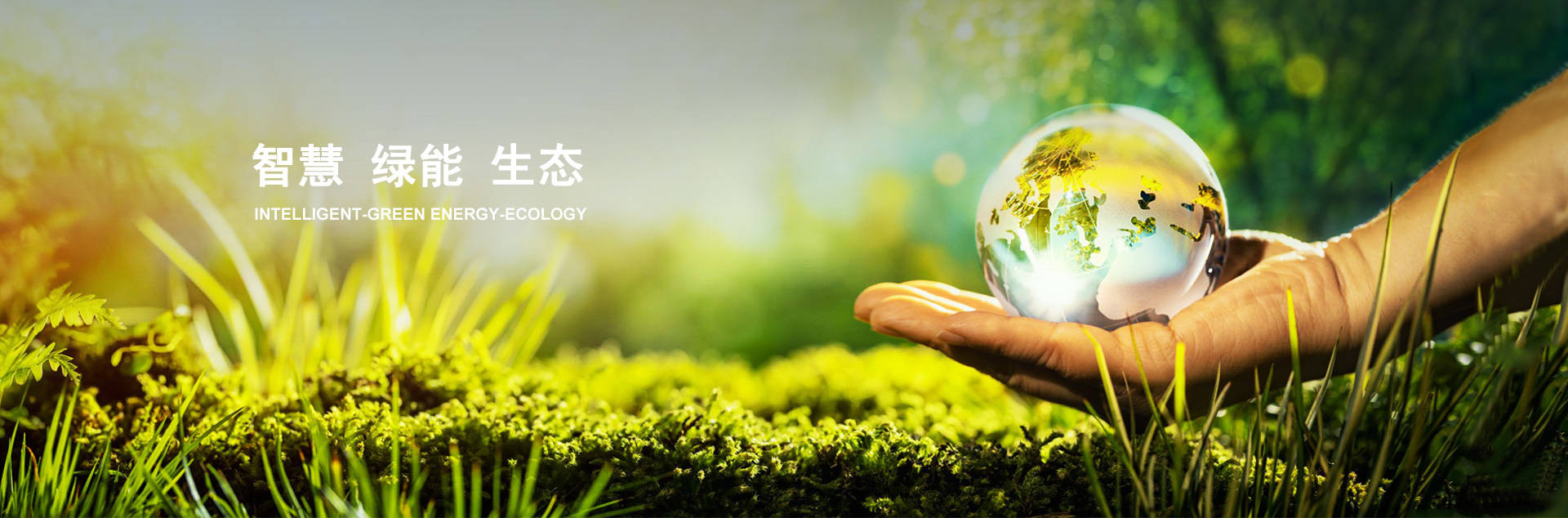 pp电子游戏·模拟器(试玩)官方网站